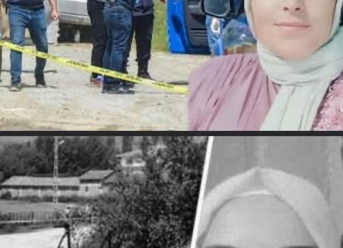 Kastamonuda tarladan dönerken kurduğu puusuda